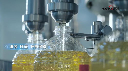 央視網(wǎng)走進(jìn)多力安心工廠(chǎng) 探尋降低油煙技術(shù)專(zhuān)利與生物基材料研發(fā)的奧秘
